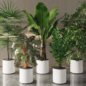 现代绿植盆栽组合3D模型下载